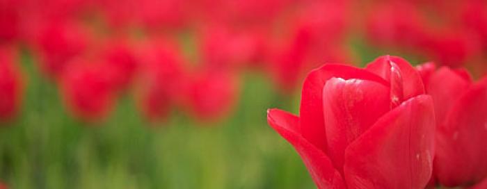 Prvi molitveni susret 