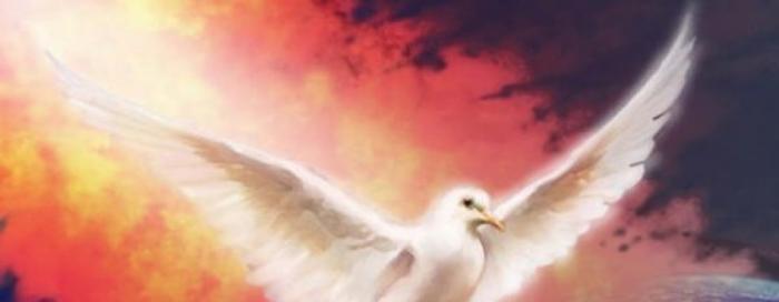 Duhovsko bdjenje mladih Riječke nadbiskupije