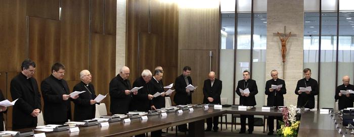 Plenarno zasjedanje HBK