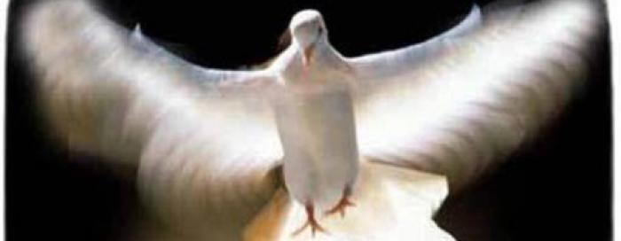 Čakovec: Duhovsko bdijenje za mlade