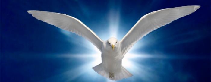 Dubrovnik:Duhovsko bdijenje u katedrali