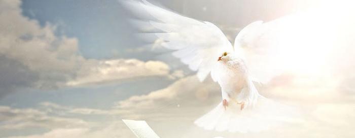 Rijeka: Duhovsko bdijenje mladih u katedrali