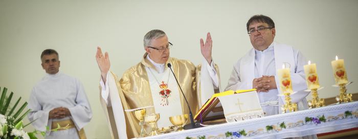 Obnova posvete hrvatske mladeži Srcu Isusovu, Trnovčica 2015.