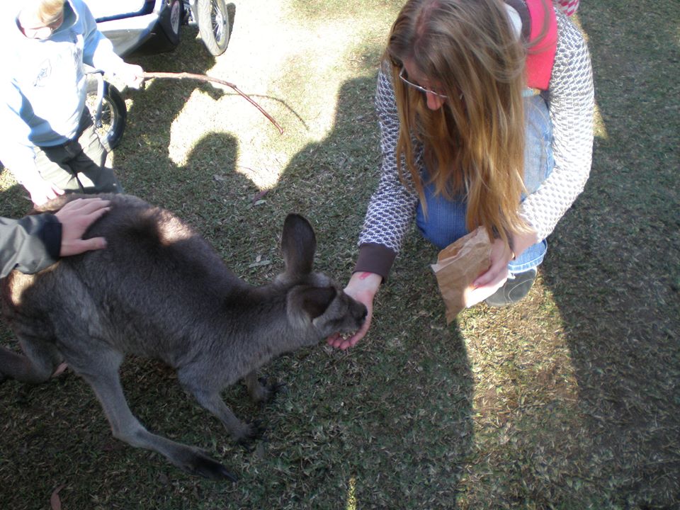 12746126_10209071347119666_1548533011_n